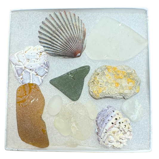 Seaglass for Good Sampler - #56