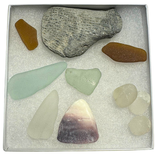 Seaglass for Good Sampler - #81