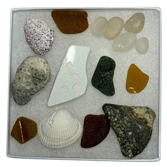 Seaglass for Good Sampler - #89