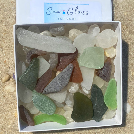 Sea Glass on a Bed of Cape May Diamonds