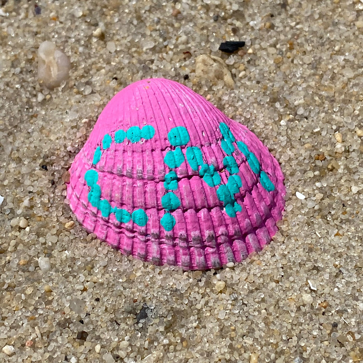 CM Shell - Blue Dots on Pink